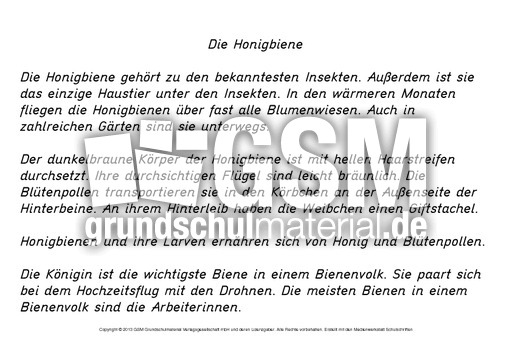 Die-Honigbiene-Abschreibtext-GS-Druck.pdf